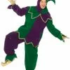Mardi Gras Jester Adult Costume
