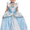 Cinderella Costume