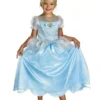 Cinderella Costume