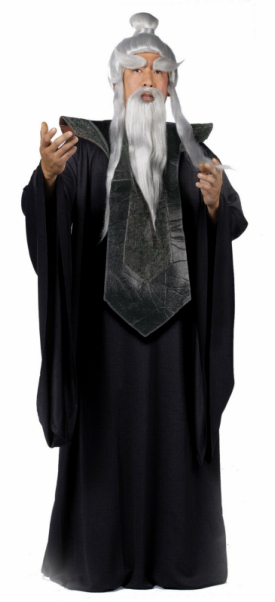 Sensei Master Adult Costume