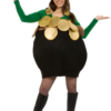 Pot-O-Gold Adult Costume