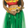 Dashboard Hula Guy Adult Costume