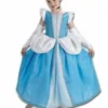 Cinderella Costume